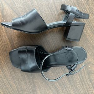Everlane Block Heel Sandal Black 6.5